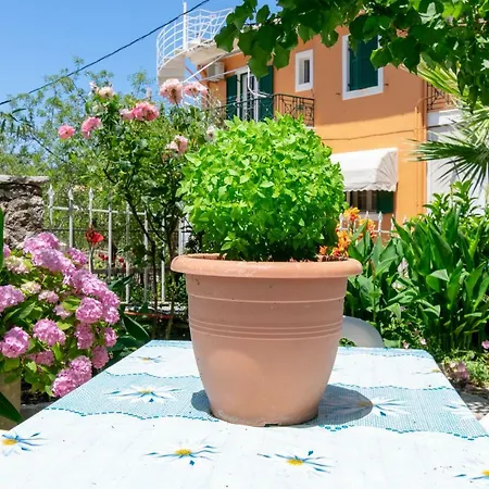 Apartmán Dina In *
